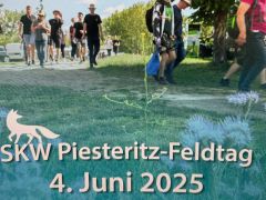 SKW Feldtag-Piesteritz